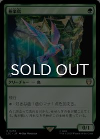 極楽鳥/Birds of Paradise 【日本語版】 [LTC-緑R]