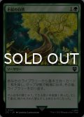 不屈の自然/Rampant Growth 【日本語版】 [LTC-緑C]