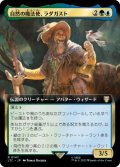 自然の魔法使、ラダガスト/Radagast, Wizard of Wilds (拡張アート版) 【日本語版】 [LTC-金R]