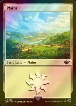 画像1: [FOIL] 平地/Plains No.263 【英語版】 [LTR-土地C]