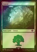 [FOIL] 森/Forest No.270 【英語版】 [LTR-土地C]