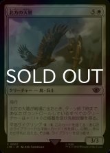 [FOIL] 北方の大鷲/Eagles of the North 【日本語版】 [LTR-白C]
