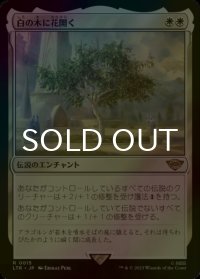 [FOIL] 白の木に花開く/Flowering of the White Tree 【日本語版】 [LTR-白R]