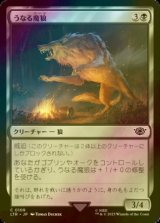 [FOIL] うなる魔狼/Snarling Warg 【日本語版】 [LTR-黒C]