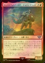 [FOIL] ウェストフォルドの領主、エルケンブランド/Erkenbrand, Lord of Westfold 【日本語版】 [LTR-赤U]