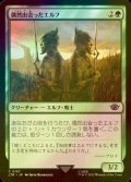 [FOIL] 偶然出会ったエルフ/Chance-Met Elves 【日本語版】 [LTR-緑C]