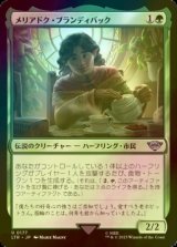 [FOIL] メリアドク・ブランディバック/Meriadoc Brandybuck 【日本語版】 [LTR-緑U]