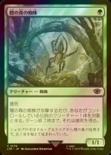 [FOIL] 闇の森の蜘蛛/Mirkwood Spider 【日本語版】 [LTR-緑C]