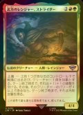 [FOIL] 北方のレンジャー、ストライダー/Strider, Ranger of the North 【日本語版】 [LTR-金U]