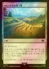 [FOIL] ホビット庄の段々畑/Shire Terrace 【日本語版】 [LTR-土地C]