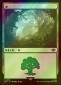 [FOIL] 森/Forest No.270 【日本語版】 [LTR-土地C]