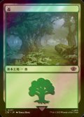 [FOIL] 森/Forest No.271 【日本語版】 [LTR-土地C]