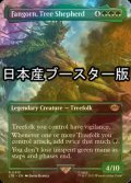 [FOIL] 木の牧人、ファンゴルン/Fangorn, Tree Shepherd ● (全面アート・日本産ブースター版) 【英語版】 [LTR-緑R]