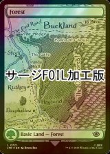 [FOIL] 森/Forest No.721 (全面アート版・サージ仕様) 【英語版】 [LTR-土地C]