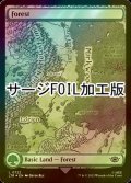 [FOIL] 森/Forest No.722 (全面アート版・サージ仕様) 【英語版】 [LTR-土地C]