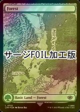 [FOIL] 森/Forest No.722 (全面アート版・サージ仕様) 【英語版】 [LTR-土地C]