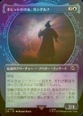 [FOIL] ホビット庄の友、ガンダルフ/Gandalf, Friend of the Shire No.308 (ショーケース版) 【日本語版】 [LTR-青U]