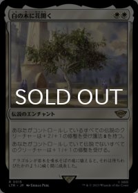 白の木に花開く/Flowering of the White Tree 【日本語版】 [LTR-白R]