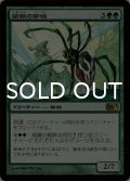 絹鎖の蜘蛛/Silklash Spider 【日本語版】 [M13-緑R]