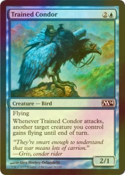 画像1: [FOIL] 訓練されたコンドル/Trained Condor 【英語版】 [M14-青C]