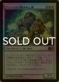 [FOIL] アジャニに選ばれし者/Ajani's Chosen 【日本語版】 [M14-白R]