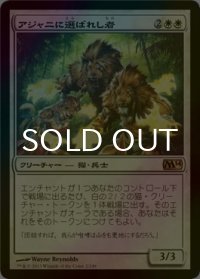 [FOIL] アジャニに選ばれし者/Ajani's Chosen 【日本語版】 [M14-白R]