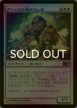 画像1: [FOIL] アジャニに選ばれし者/Ajani's Chosen 【日本語版】 [M14-白R]