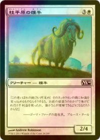 [FOIL] 柱平原の雄牛/Pillarfield Ox 【日本語版】 [M14-白C]