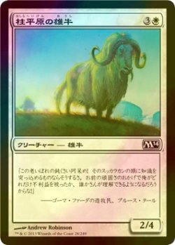 画像1: [FOIL] 柱平原の雄牛/Pillarfield Ox 【日本語版】 [M14-白C]