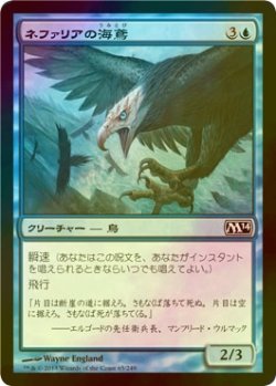 画像1: [FOIL] ネファリアの海鳶/Nephalia Seakite 【日本語版】 [M14-青C]