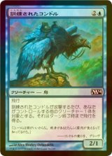 [FOIL] 訓練されたコンドル/Trained Condor 【日本語版】 [M14-青C]