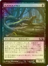 [FOIL] ただれたイモリ/Festering Newt 【日本語版】 [M14-黒C]