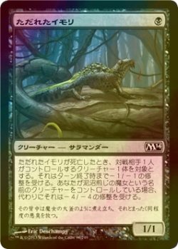 画像1: [FOIL] ただれたイモリ/Festering Newt 【日本語版】 [M14-黒C]