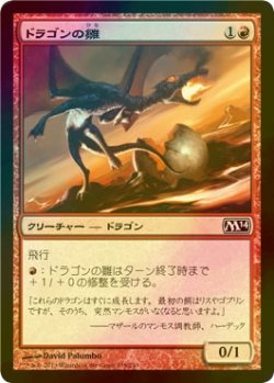 画像1: [FOIL] ドラゴンの雛/Dragon Hatchling 【日本語版】 [M14-赤C]