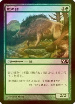 画像1: [FOIL] 斑の猪/Brindle Boar 【日本語版】 [M14-緑C]