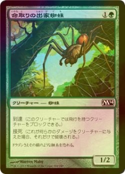画像1: [FOIL] 命取りの出家蜘蛛/Deadly Recluse 【日本語版】 [M14-緑C]