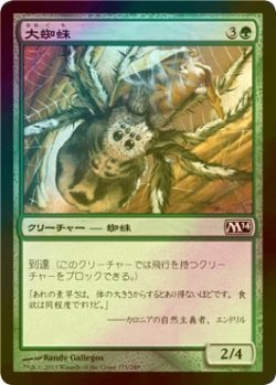 画像1: [FOIL] 大蜘蛛/Giant Spider 【日本語版】 [M14-緑C]