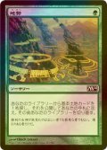 [FOIL] 地勢/Lay of the Land 【日本語版】 [M14-緑C]