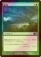 [FOIL] 暴風/Windstorm 【日本語版】 [M14-緑U]