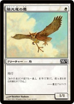 画像1: 陽光尾の鷹/Suntail Hawk 【日本語版】 [M14-白C]