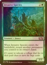 [FOIL] 侵入する生物種/Invasive Species 【英語版】 [M15-緑C]