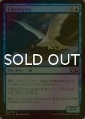 [FOIL] 天空のアジサシ/Welkin Tern 【日本語版】 [M15-青C]