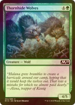 画像1: [FOIL] 茨隠れの狼/Thornhide Wolves 【英語版】 [M19-緑C]