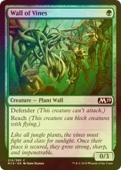 画像1: [FOIL] 蔦の壁/Wall of Vines 【英語版】 [M19-緑C]