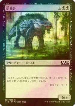 画像1: [FOIL] 沼踏み/Bogstomper 【日本語版】 [M19-黒C]