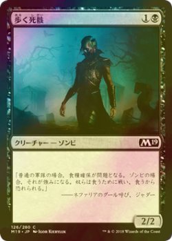 画像1: [FOIL] 歩く死骸/Walking Corpse 【日本語版】 [M19-黒C]