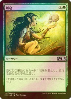 画像1: [FOIL] 喚起/Recollect 【日本語版】 [M19-緑U]