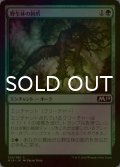 [FOIL] 野生林の鉤爪/Talons of Wildwood 【日本語版】 [M19-緑C]