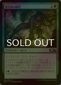 [FOIL] 野生林の鉤爪/Talons of Wildwood 【日本語版】 [M19-緑C]