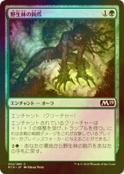 画像1: [FOIL] 野生林の鉤爪/Talons of Wildwood 【日本語版】 [M19-緑C]